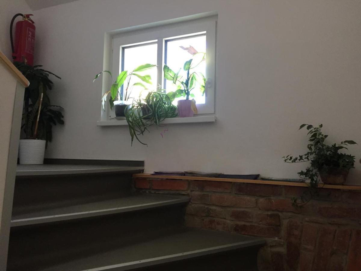 Penzion u Laštůvků Šluknov Esterno foto